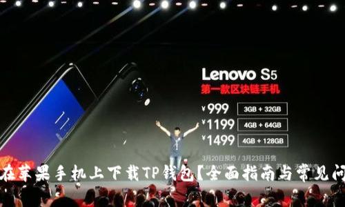 : 如何在苹果手机上下载TP钱包？全面指南与常见问题解答